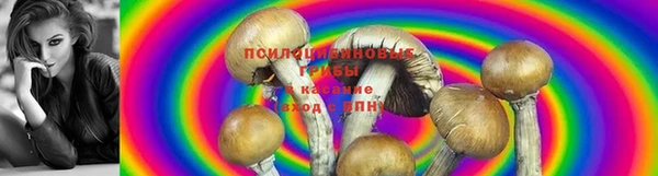 jwh Алексин