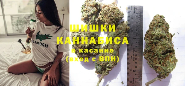 шишки Краснотурьинск