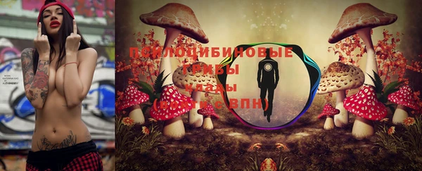 хмурый Абинск