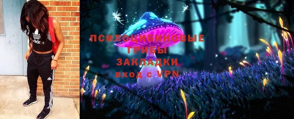 ПСИЛОЦИБИНОВЫЕ ГРИБЫ Алзамай