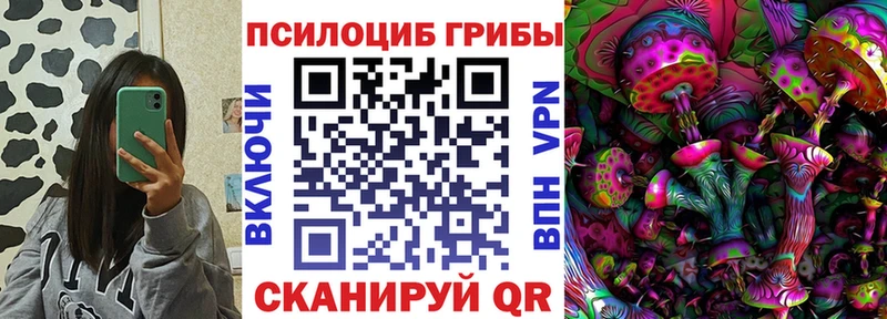 MEGA ТОР  Ивангород  Псилоцибиновые грибы прущие грибы 
